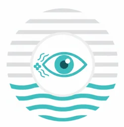 Ocular
